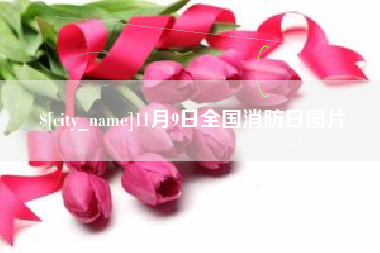 鹰潭11月9日全国消防日图片