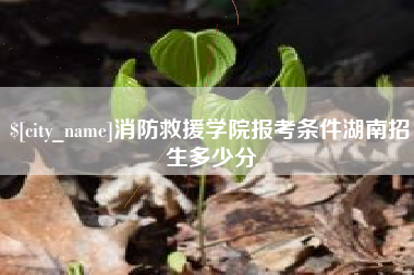 鹰潭消防救援学院报考条件湖南招生多少分