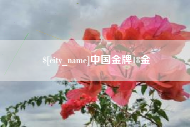 鹰潭中国金牌18金