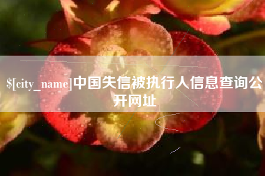 鹰潭中国失信被执行人信息查询公开网址