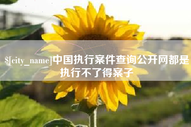 鹰潭中国执行案件查询公开网都是执行不了得案子