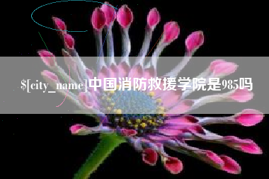 鹰潭中国消防救援学院是985吗