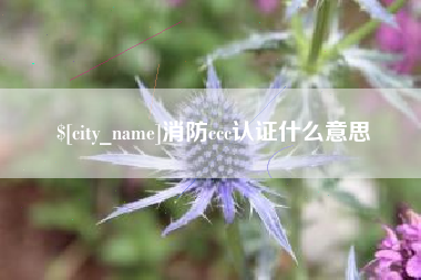 鹰潭消防ccc认证什么意思