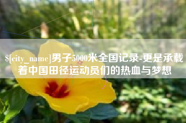鹰潭男子5000米全国记录-更是承载着中国田径运动员们的热血与梦想
