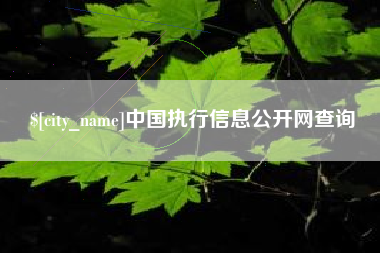 鹰潭中国执行信息公开网查询