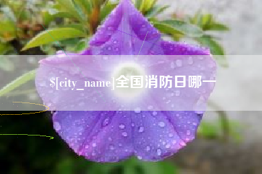 鹰潭全国消防日哪一