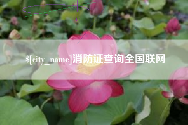 鹰潭消防证查询全国联网
