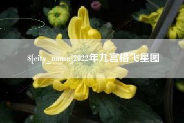 鹰潭2022年九宫格飞星图
