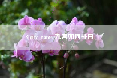 鹰潭九宫如何排日