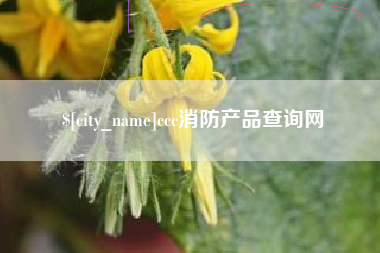 鹰潭ccc消防产品查询网