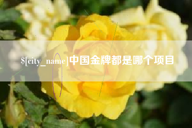 鹰潭中国金牌都是哪个项目