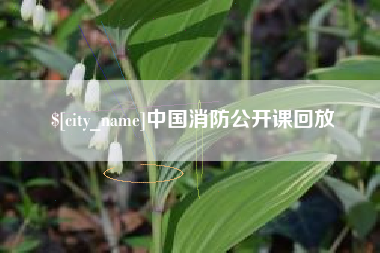 鹰潭中国消防公开课回放