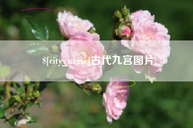 鹰潭古代九宫图片