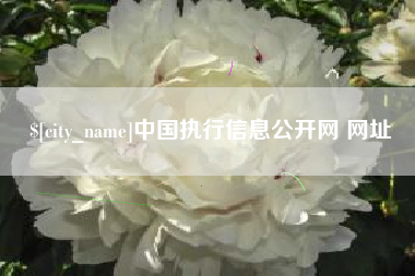 鹰潭中国执行信息公开网 网址