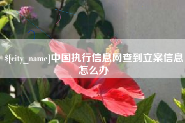 鹰潭中国执行信息网查到立案信息怎么办
