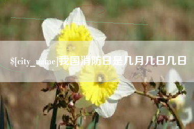 鹰潭我国消防日是几月几日几日