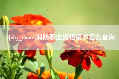 鹰潭消防职业资格证书怎么查询