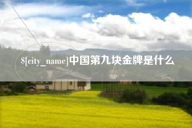 鹰潭中国第九块金牌是什么
