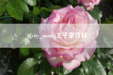 鹰潭王子豪百科