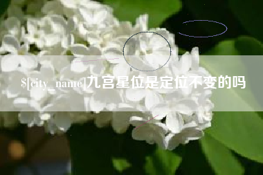 鹰潭九宫星位是定位不变的吗