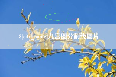 鹰潭九宫图分割线图片