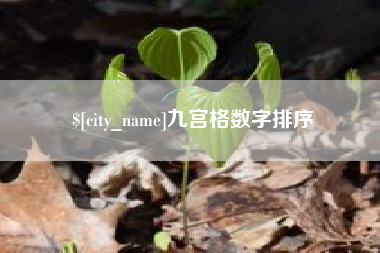 鹰潭九宫格数字排序