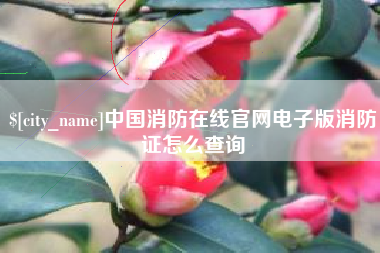 鹰潭中国消防在线官网电子版消防证怎么查询