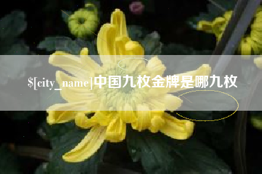 鹰潭中国九枚金牌是哪九枚