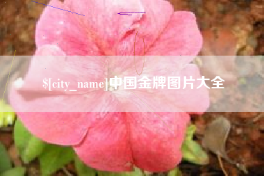 鹰潭中国金牌图片大全