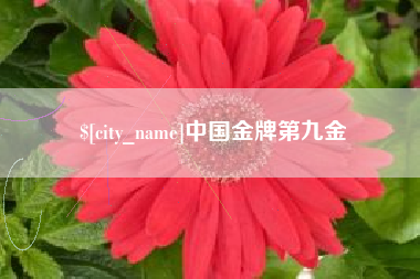 鹰潭中国金牌第九金