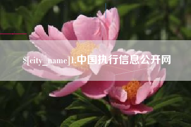 鹰潭1.中国执行信息公开网