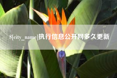鹰潭执行信息公开网多久更新