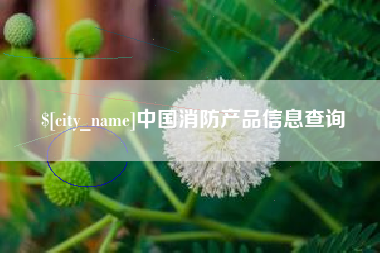 鹰潭中国消防产品信息查询