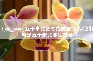 鹰潭五千米比赛领跑员是什么-他们就是五千米比赛领跑员