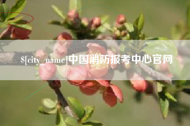 鹰潭中国消防报考中心官网