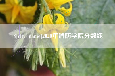 鹰潭2020年消防学院分数线