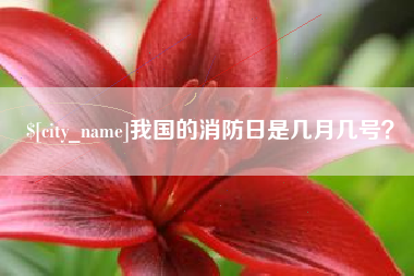 鹰潭我国的消防日是几月几号？