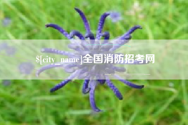 鹰潭全国消防招考网