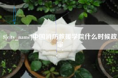 鹰潭中国消防救援学院什么时候政审