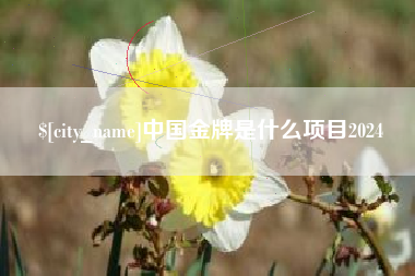 鹰潭中国金牌是什么项目2024