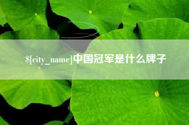 鹰潭中国冠军是什么牌子