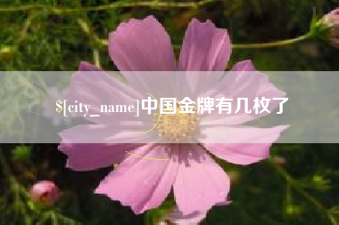 鹰潭中国金牌有几枚了