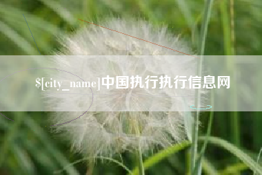 鹰潭中国执行执行信息网