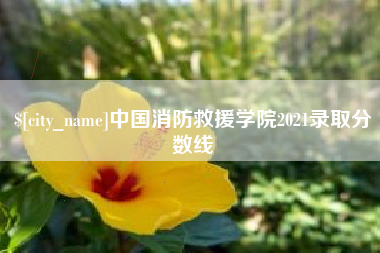 鹰潭中国消防救援学院2021录取分数线