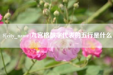 鹰潭九宫格数字代表的五行是什么