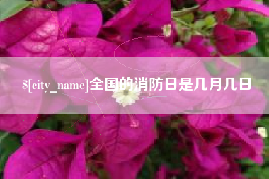 鹰潭全国的消防日是几月几日