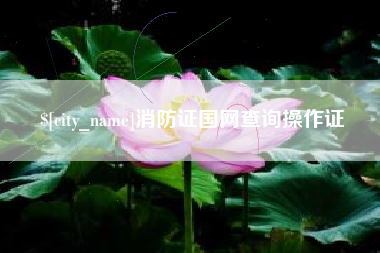 鹰潭消防证国网查询操作证