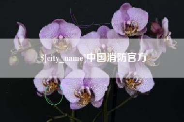 鹰潭中国消防官方