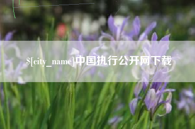 鹰潭中国执行公开网下载
