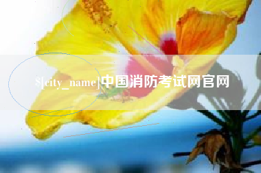 鹰潭中国消防考试网官网